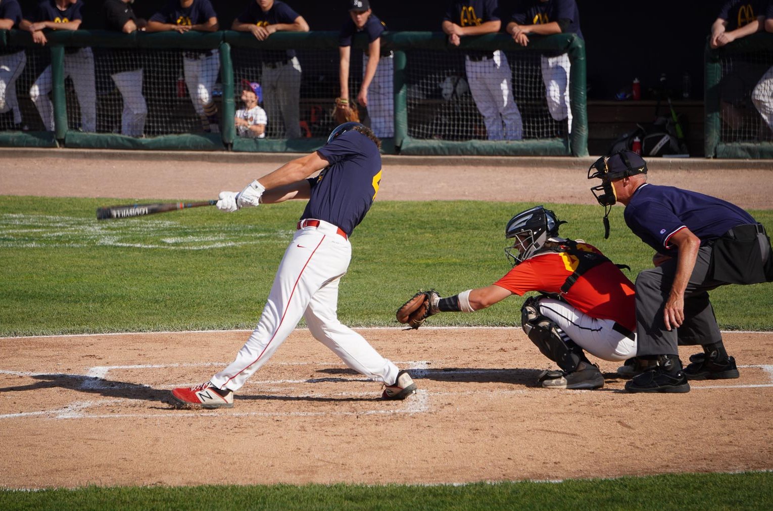 early-work-online-baseball-strength-training-program